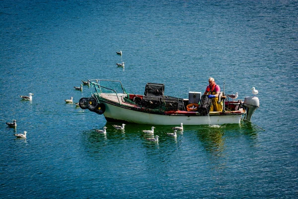 Pescatore che lavora su una barca galleggiante circondata da gabbiani — Foto Stock