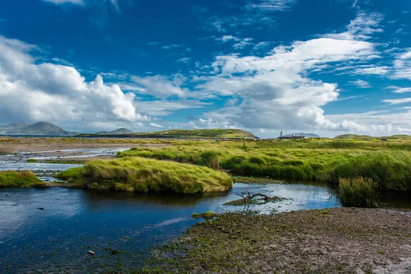 Paesaggio costiero in Irlanda — Foto Stock