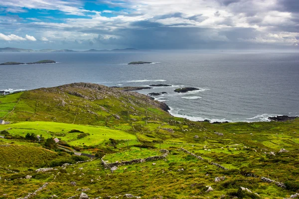 Pâturages sur la côte d'Irlande — Photo