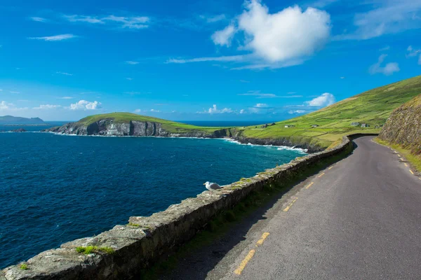 Jeden utwór Coast Road przy drodze widokowej Slea Head w Irlandii — Zdjęcie stockowe