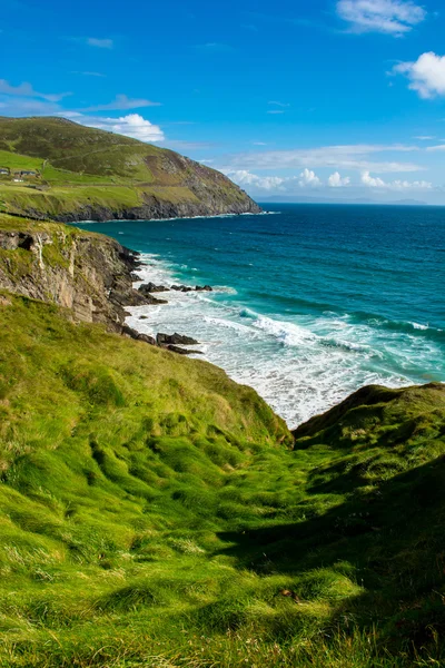 Côte avec de grandes vagues à Slea Head en Irlande — Photo