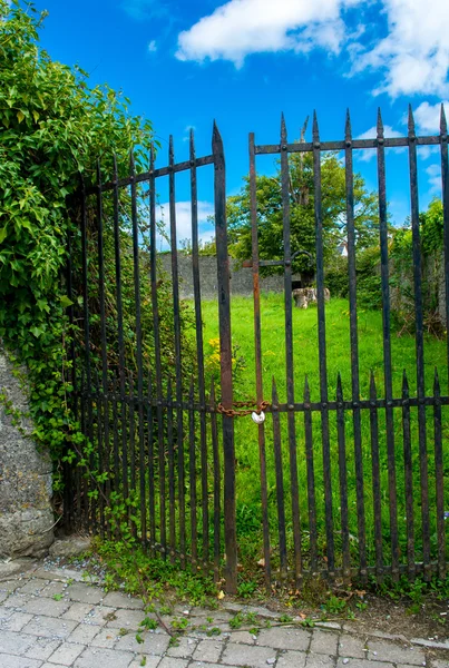 Rusty deur met ketting en een hangslot bescherming van groene tuin — Stockfoto