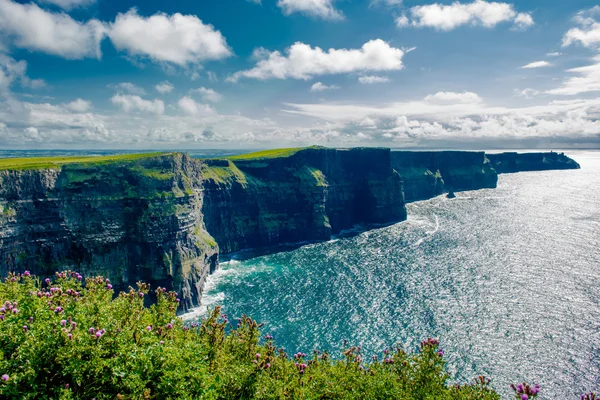 Cliffs Of Moher In Ireland — Stock Photo, Image