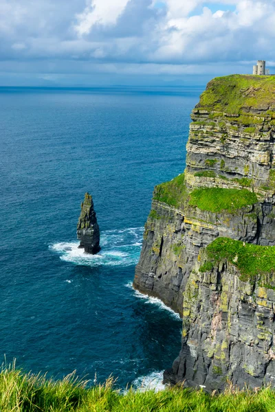 Útesy Moher v Irsku — Stock fotografie