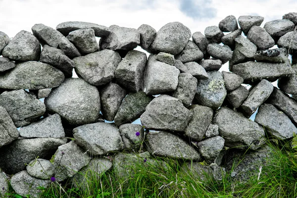 Stone Wall With Flowers And Grass — Stock Photo, Image