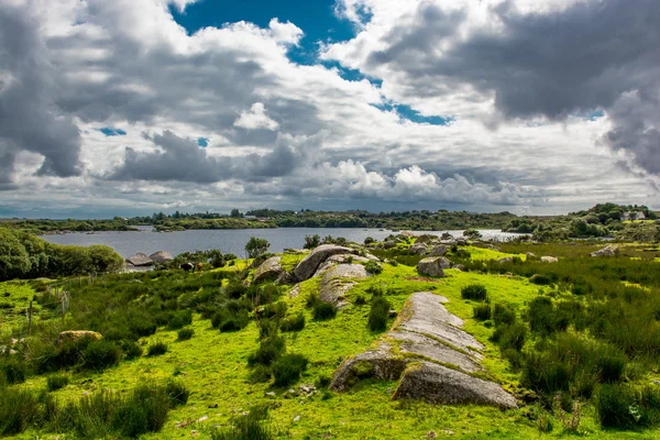 アイルランドのコネマラ湖近くの牧草地します。 — ストック写真