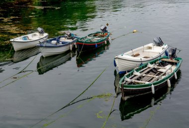Roundstone Harbor İrlanda demirlemiş tekneler