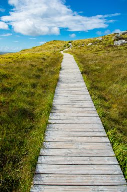 Bir tepenin üzerinde dar hat