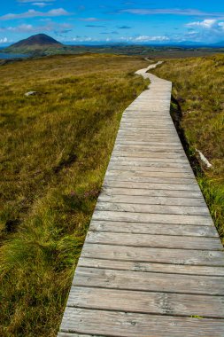 Bir tepenin üzerinde dar hat