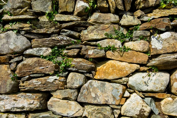 Antigua pared de piedra con hiedra —  Fotos de Stock