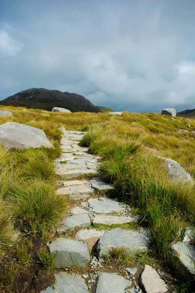 Narrow Track Upon A Hill — Stock Photo, Image