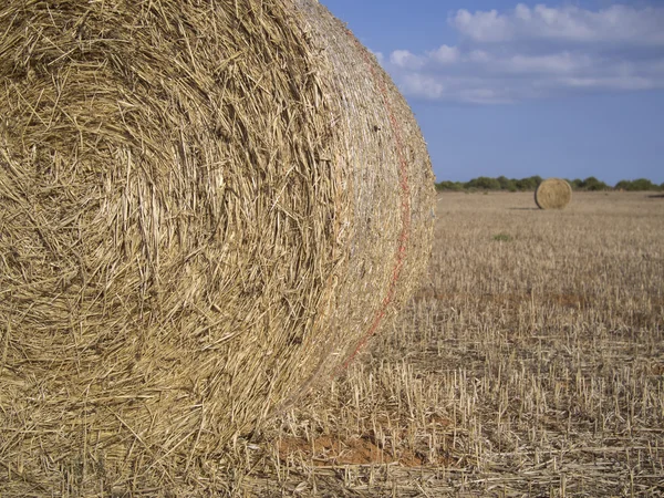 Two straw bales in the countryside — Stock Photo, Image