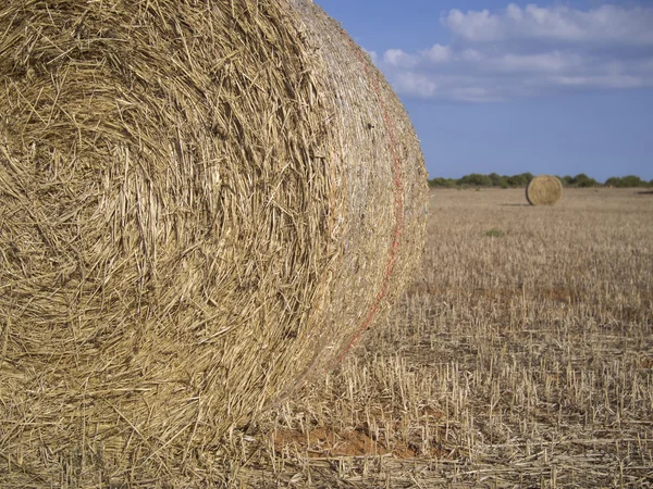 A vidék két szalma bálák — Stock Fotó