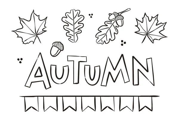 Herbst Ahorn Und Eichenblätter Eicheln Herbstfärbung Elemente Für Den Saisonkalender — Stockvektor