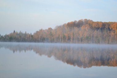 Sis içindeki sonbahar ormanı gölü