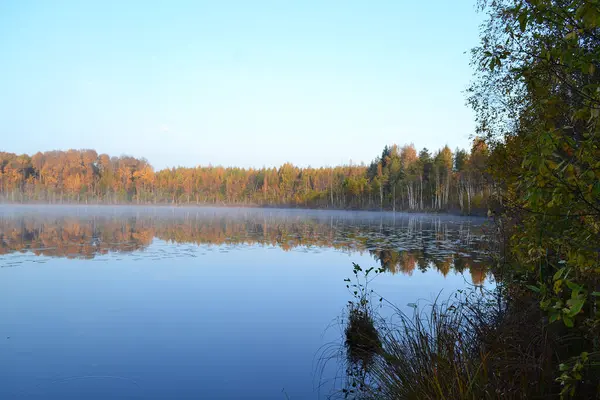 Automne Sur Lac Dans Forêt — Photo