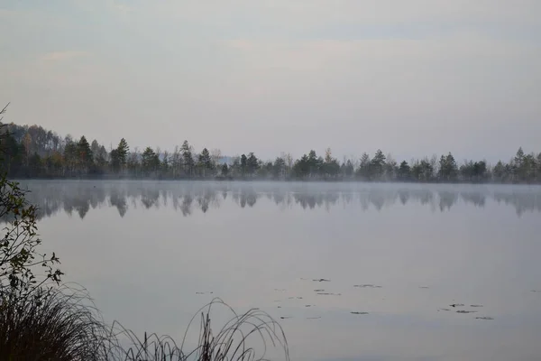 Lago Bosque Otoño Neblina — Foto de Stock