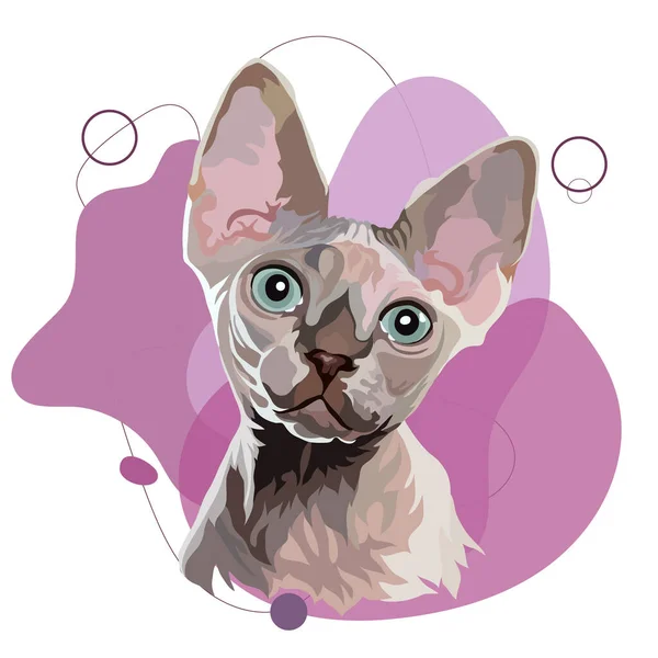 Sphynx Cat Vector Illustration Head Portrait Colored Background — Stock Vector