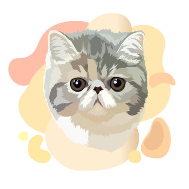 Egzotik kısa kedi vektör çizimi. Portre