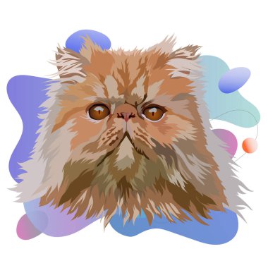 Persian cat vector illustration. Portrait on a colored background clipart