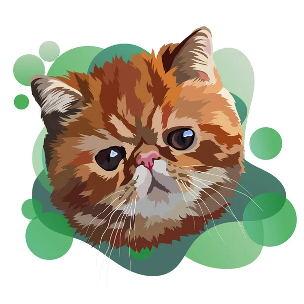 Exotic Shorthair Cat Vector Illustration Portrait Head Green Gradient — Stock Vector