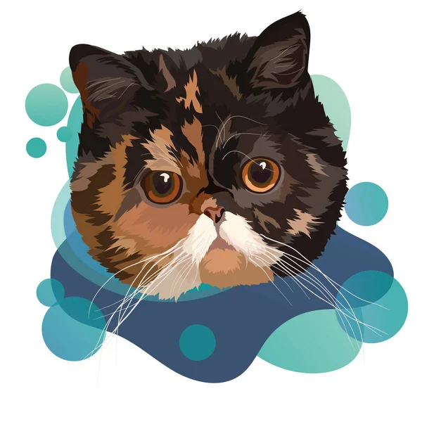 Exotic Shorthair Cat Vector Illustration Portrait Head Gradient — Stock Vector