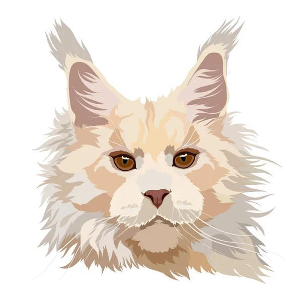 Maine Coon Cat Vector Illustration Portrait — Stock Vector