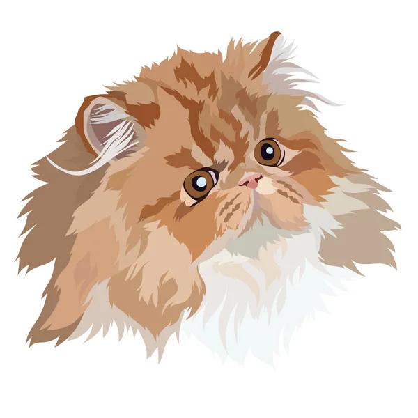 Persian Cat Portrait Vector Illustration — Stock Vector