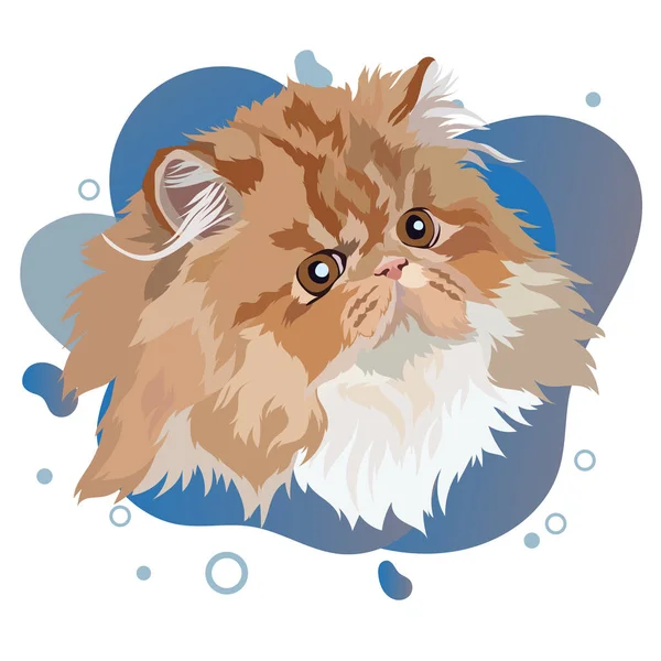 Persian Cat Portrait Vector Illustration Color Background — Stock Vector