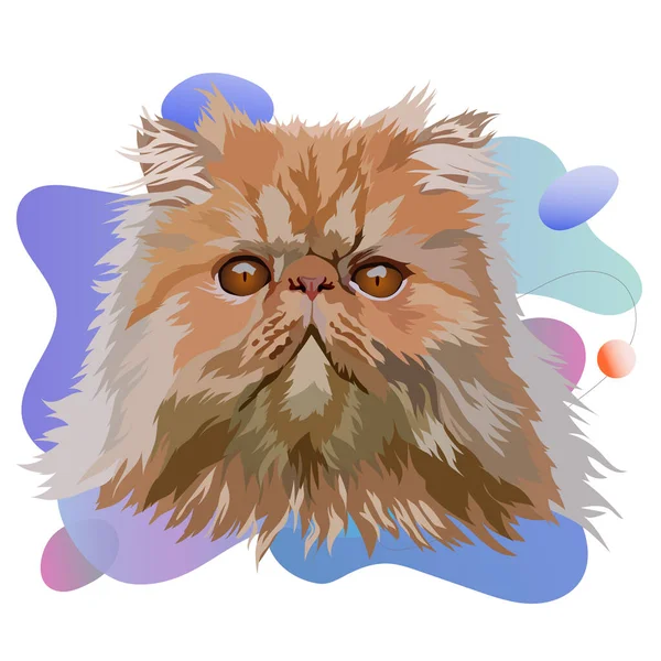Persian Cat Vector Illustration Portrait Colored Background — Stock Vector