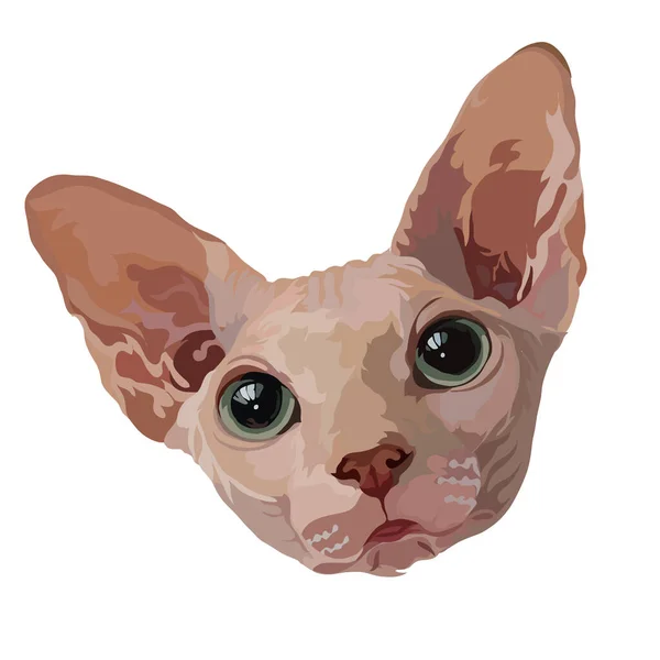 Sphinx Cat Portrait Vector Illustration — Stock Vector
