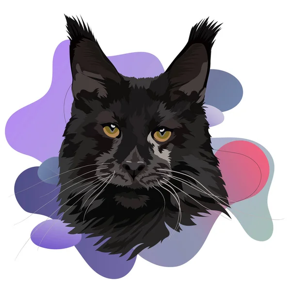 Portrait Black Cat Maine Coon Breed Vector Head Illustration — Stock Vector