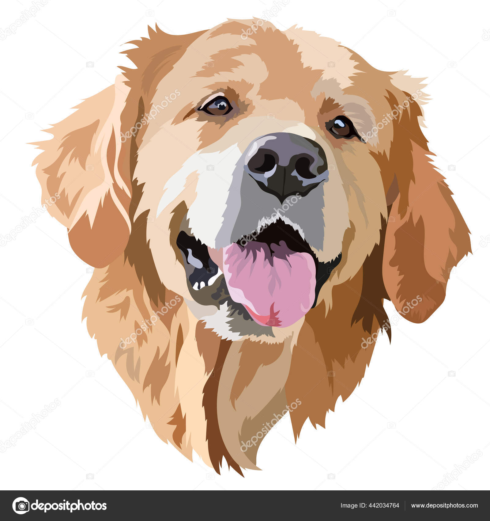 Golden Labrador Retriever Head Vector Illustration Stock Vector Image by