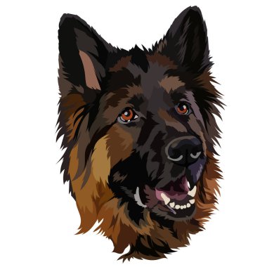 German shepherd dog. Vector illustration clipart