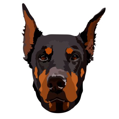 Doberman pinscher, Amerikan doberman, evcil hayvan logosu, köpek doberman