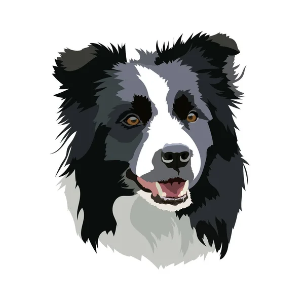 Vektorillustration Eines Border Collie Hundekopfes — Stockvektor