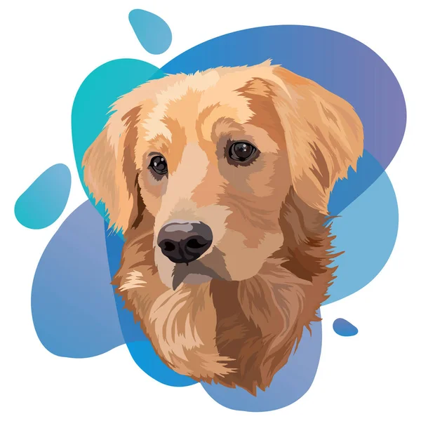 Retrato Perro Golden Labrador Retriever Head Vector Illustration Trend — Archivo Imágenes Vectoriales