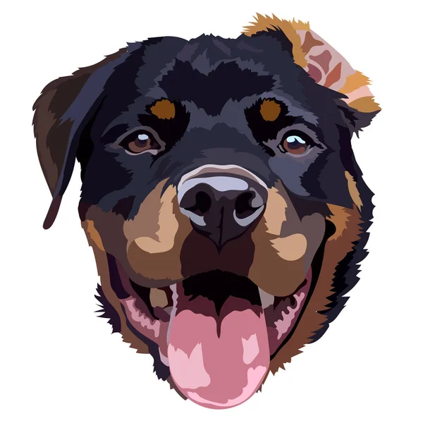 Komik bir Rottweiler köpeğinin kafasının vektör çizimi