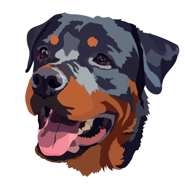 Vector Dibujado Mano Cara Rottweiler Feliz — Vector de stock