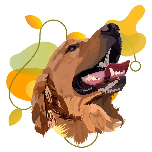 Popüler Bir Arka Planda Altın Labrador Retriever Vektör Resmi — Stok Vektör