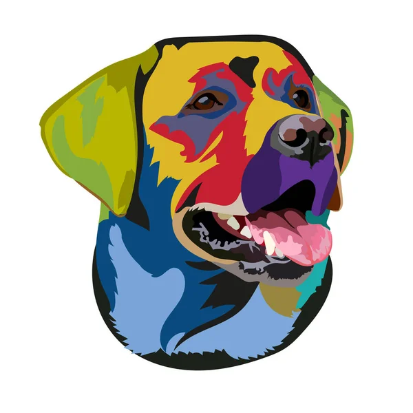 Muzzle Labrador Retriever Color Vector Illustration — Stock Vector