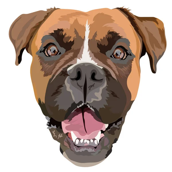 Alman boksör vektör illüstrasyonu. Portre.