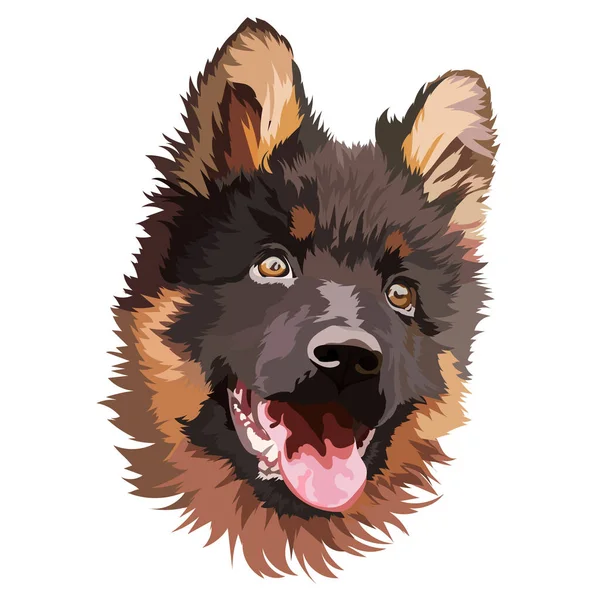 German Shepherd Puppy Vector Illustration Portrait Head — Wektor stockowy