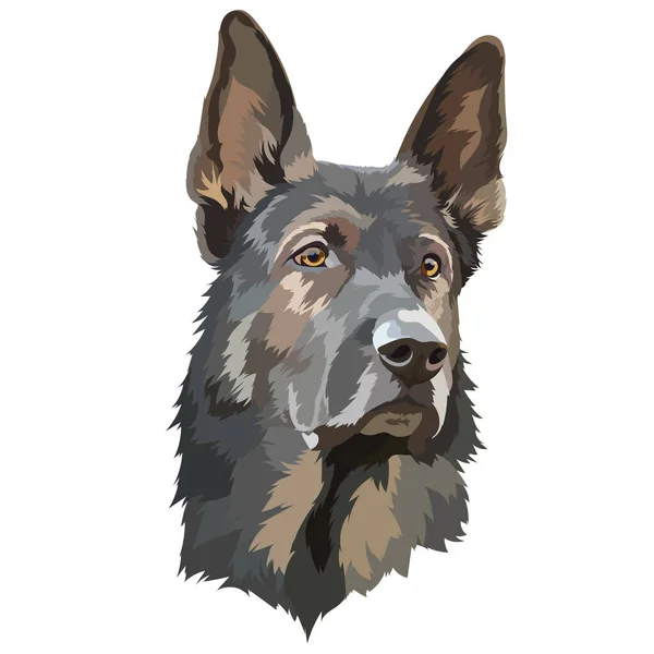 Berger Allemand Portrait Chien Illustration Vectorielle Dessin — Image vectorielle