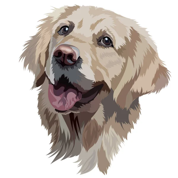 Ritratto Cane Golden Labrador Retriever Illustrazione Vettoriale Della Testa Trend — Vettoriale Stock