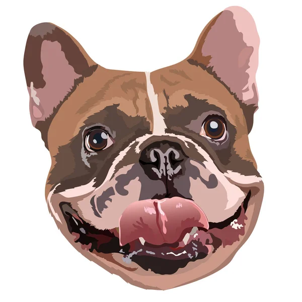 Illustration Vectorielle Visage Bulldog Anglais — Image vectorielle