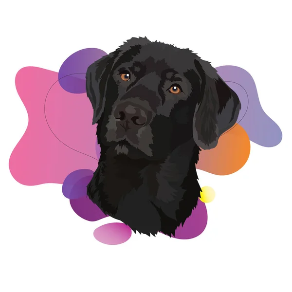 Labrador Negro Ilustración Vectorial Retrato Perro Tendencia — Vector de stock