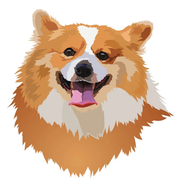 Söt Walesisk Corgi Ansikte Illustration — Stock vektor