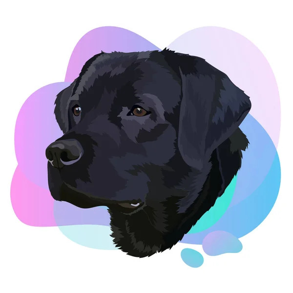 Labrador Vector Portrait Hitam Anjing Trend - Stok Vektor