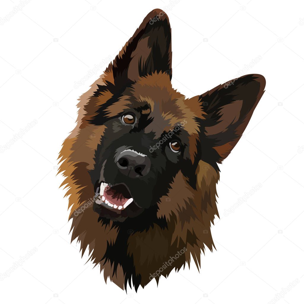 German shepherd, vector illustration. Portrait, dog head.